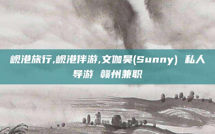 赵县岘港旅行,岘港伴游,文伽昊(Sunny) 私人导游 赣州兼职